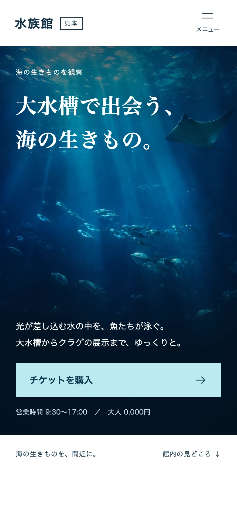 水族館のホームページ見本（架空の施設）